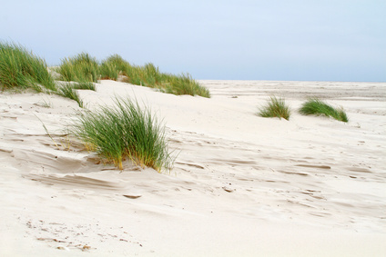 Vordünen Vordünen